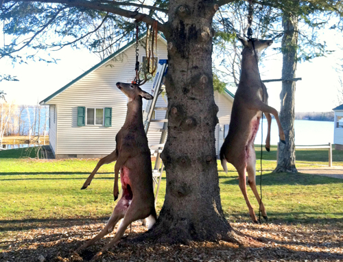 Seney Wildlife Refuge Hunting | Curtis Hunting | Curtis Michigan Deer Hunting Resort | Accommodations | Lodging