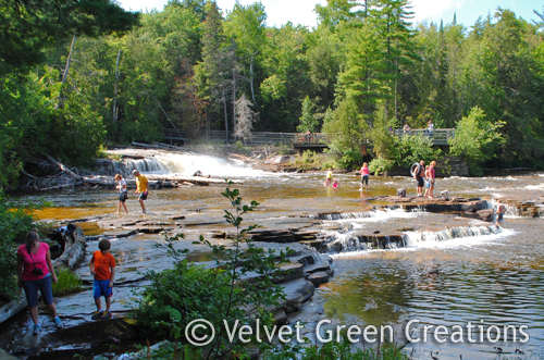 Lower Tahquamenon Falls 